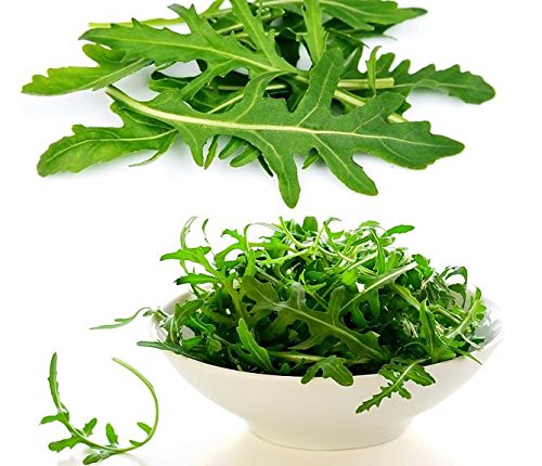 Bagaimana selada dan minyak melindungi otak